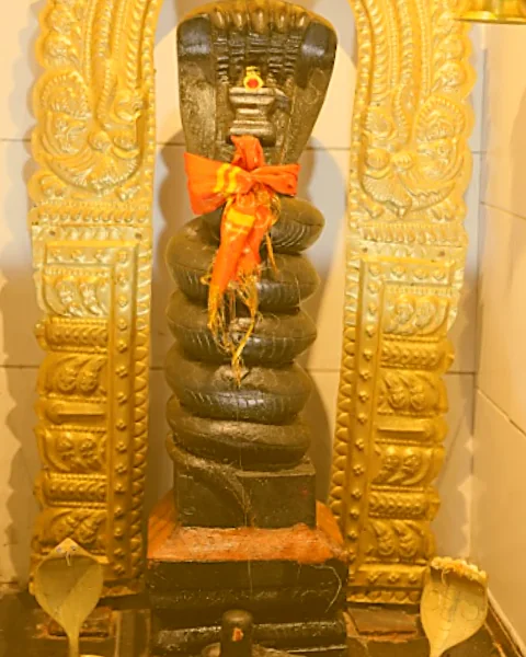 Shri Nagathambiran